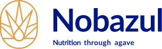 Nobazul Logotipo